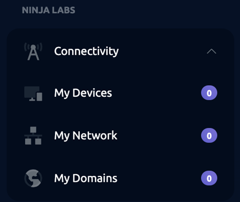 Connectivity Main Interface