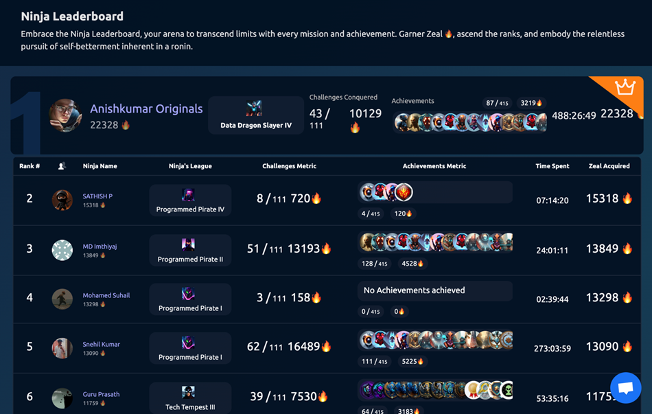 Ninja Leaderboard Interface