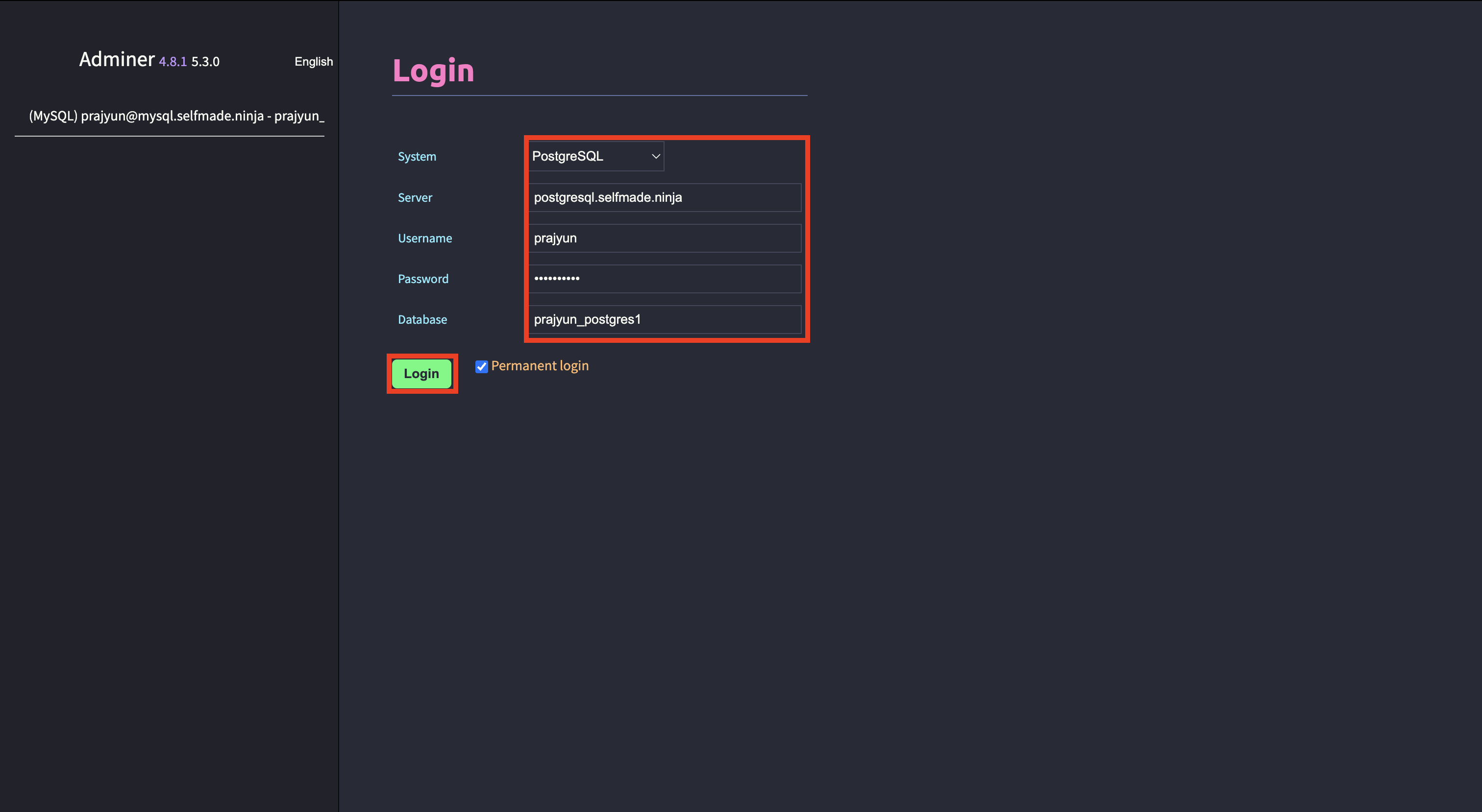 PostgreSQL Login Interface