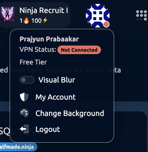 Profile Section Interface