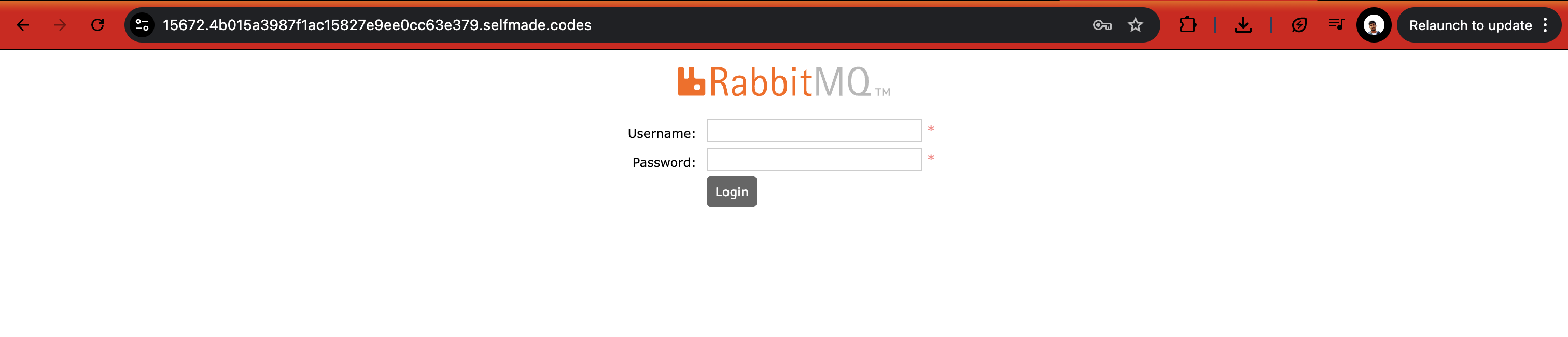 RabbitMQ Management Interface